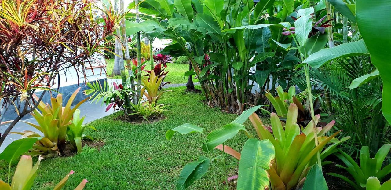 La Selvita บาฮามาร์ ภายนอก รูปภาพ